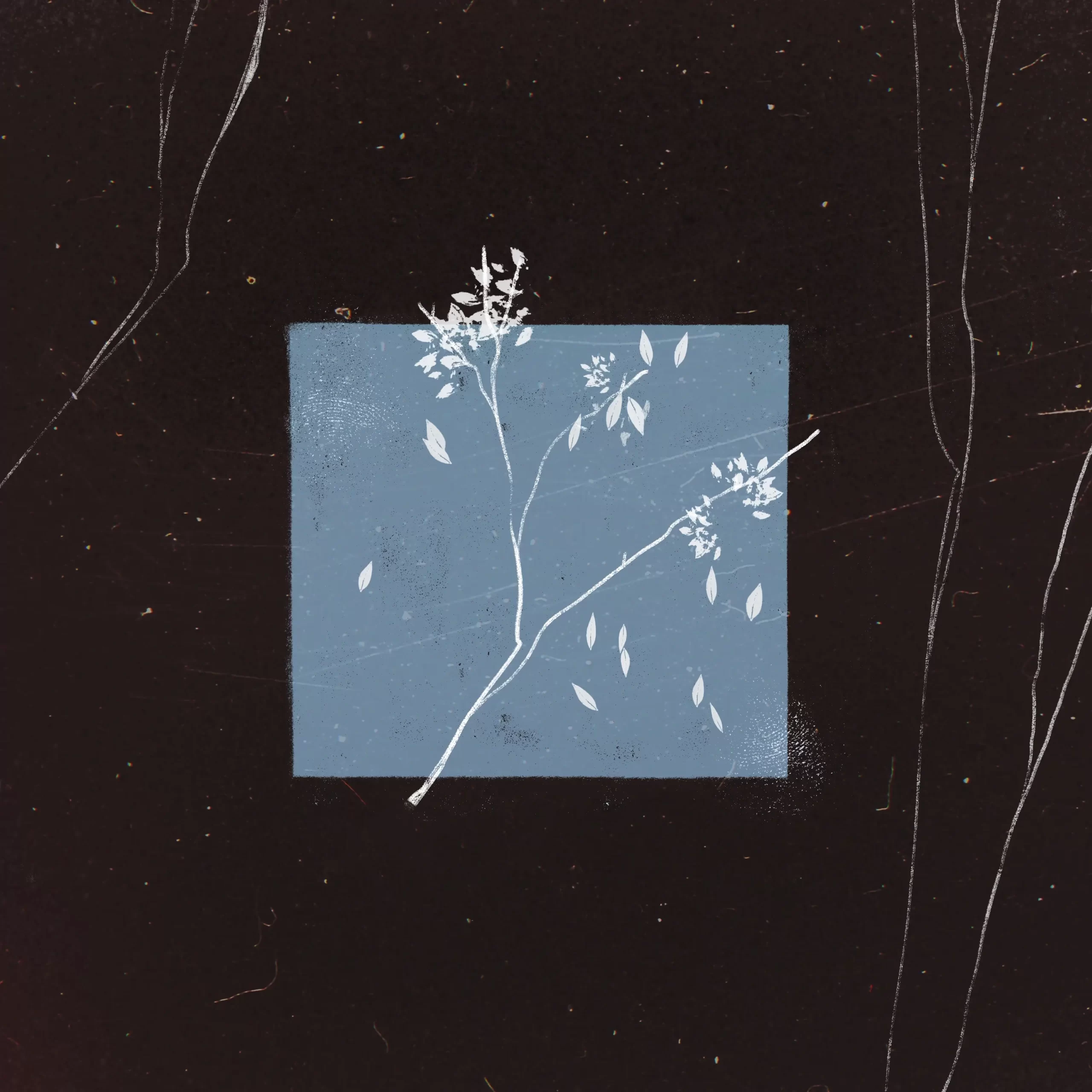 INDULGE IN YOUR Pop Punk/Hardcore FEELS WITH BIRD BONE’S NEW ABLUM “Лейтмотив” (Leitmotiv)