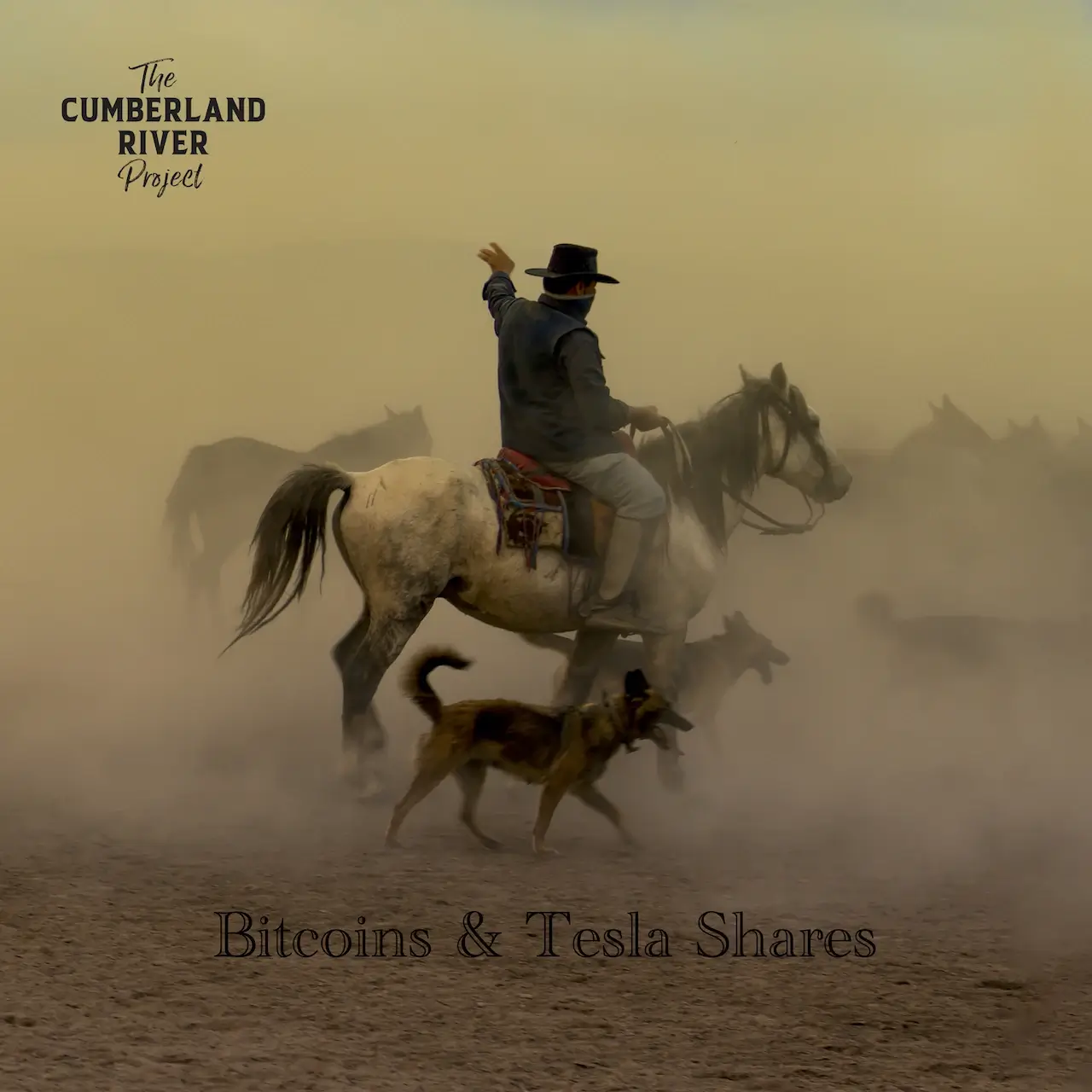 “Bitcoins & Tesla Shares” swerves into sincerity