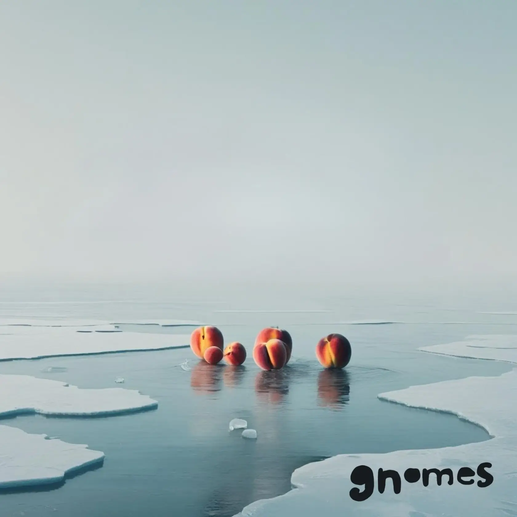 Microclimbs by gnomes is small, weird, and painfully sincere