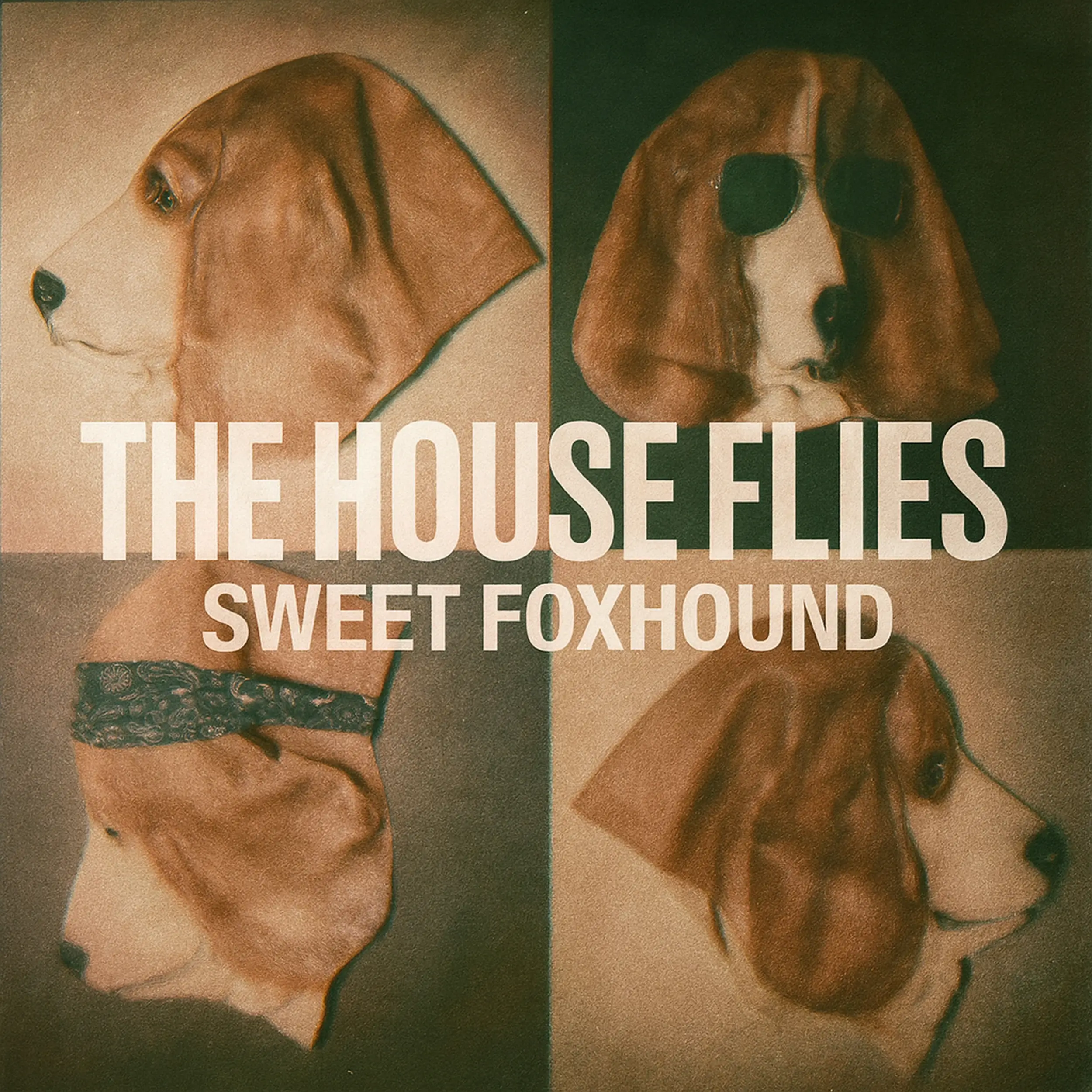 Protected: You Can’t Fit The House Flies’ “Sweet Foxhound” Into One Single Meaning